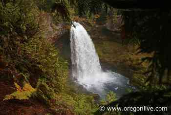 Waterfall loop on McKenzie River is a perfect hike for fall - OregonLive