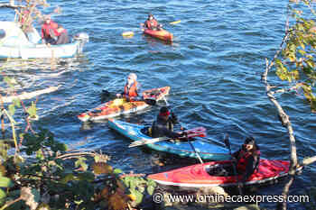BC environmental activists form flotilla in protest of raw log exports – Vanderhoof Omineca Express - Omineca Express