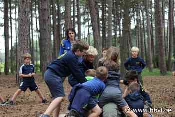 Stad Lommel wil grond aankopen voor meer kampplaatsen - Het Belang van Limburg