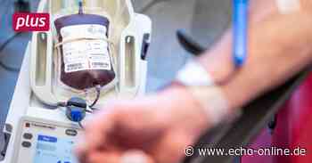 167 Blutspender bei Halloween-Termin in Bischofsheim - Echo Online