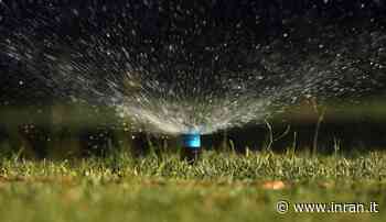 Cura del prato, in autunno è fondamentale. Qualche regola - INRAN