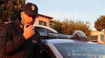 Prato, dodici colpi a segno: arrestato il capo di una banda di ladri - LA NAZIONE