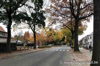 Brechtsebaan wordt deels fietsstraat en volledig heraangelegd