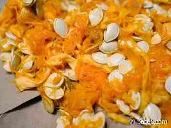 Pumpkin Seeds: Rhode Island Fields Hold The Best Fall Treat - Patch.com