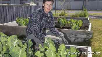 Meet the gardener helping prisoners grow award-winning veges and roses - Stuff.co.nz