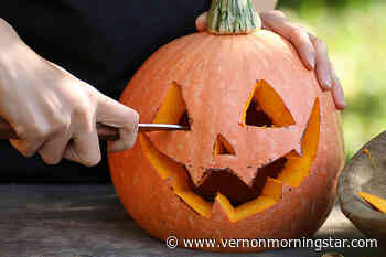 A Gardener’s Diary: What will you do with your pumpkin after Halloween? - Vernon Morning Star