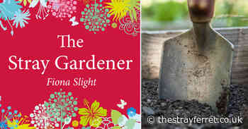 Stray Gardener: To dig or not to dig? - The Stray Ferret