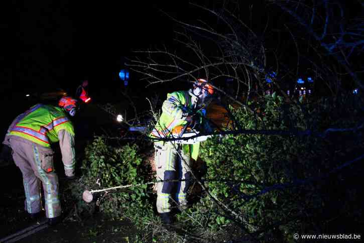 Brandweer hele dag en nacht in de weer voor stormschade