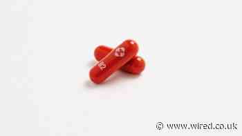 Merck’s Antiviral Could Be Just What Covid Was Waiting For