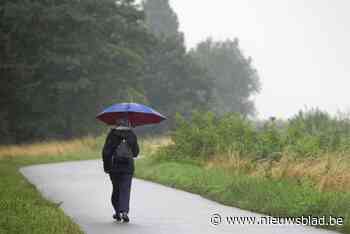 Code geel: KMI waarschuwt voor grote hoeveelheden regen, ook komende dagen nog neerslag verwacht - Het Nieuwsblad