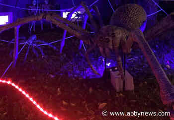 Chilliwack Halloween House delights visitors with spooky walk-through experience – Abbotsford News - Abbotsford News