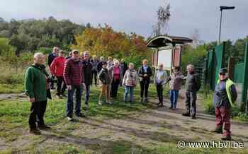 Okra Beringen verbroedert tijdens wandeling (Tessenderlo) - Het Belang van Limburg Mobile - Het Belang van Limburg
