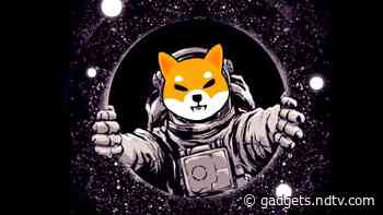 Paris Bistro Opens Up to Payments in Shiba Inu After Recent Bull Run