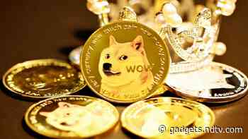 MicroStrategy CEO Michael Saylor Says No Opinion on Dog Coins in Dogecoin-Shiba Inu Face-Off