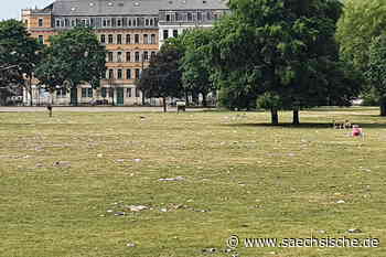 Dresden: Unbekannte schlagen in Dresden auf drei Mädchen und zwei Jungen ein - Sächsische.de