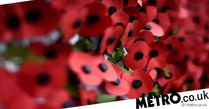 What Side Should You Wear A Poppy On UK News NewsLocker what-side-should-you-wear-a-poppy-on-uk-news-newslocker