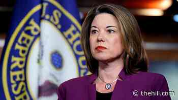 Vulnerable Democrats press leadership to lower drug prices in Biden package