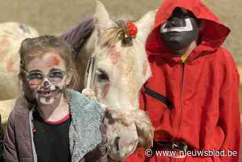 Ponyclub organiseert Halloweentocht vanuit paardenpension, opbrengst gaat naar ‘pensioenfonds’: “We hebben weer voer voor een volledige winter”