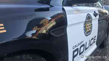 Calgary police call woman's death in Pineridge suspicious, 1 in custody