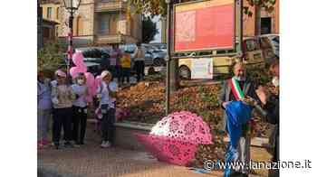 La panchina rosa in via Vittorio Veneto è un’opera d’arte - LA NAZIONE