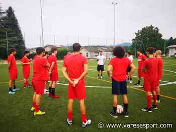 Testacoda Ispra – Luino, Ferno in trasferta, ancora avversarie Cantello Belfortese – Bosto - VareseSport