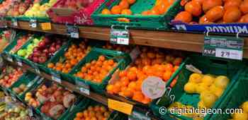 El horario de apertura de los supermercados el Día de Todos los Santos en León - Digital de León