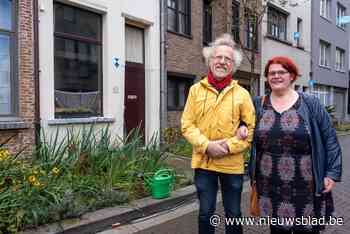 Lange Riddersstraat is eerste tuinstraat in Antwerpen, er volgen er nog zeven
