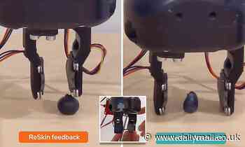 Meta's ultra-thin synthetic skin for robots enables them to 'feel' objects to build its metaverse 