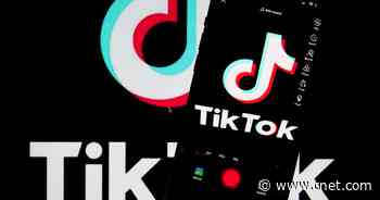 TikTok and Amazon Fire TV team up in US and Canada     - CNET