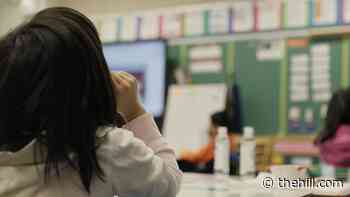 White House: children's vaccine program will be fully operational Nov. 8