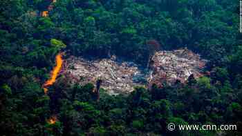 Analysis: Brazil brings big green plans to COP26. But its track record is dismal
