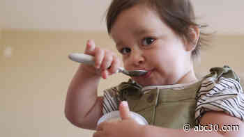 Taste-testing Chicago toddler funds diabetes research through Zarlengo's ice cream