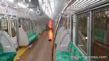 Man dressed as Joker stabs 17 people on Tokyo train
