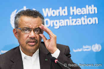 Controversial World Health Organization chief Tedros unopposed for second term