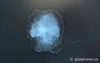 Anonymous donor buys real-time breast-cancer screening machine for Covenant Health