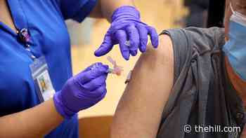 70% of US adults are fully vaccinated, 80% partially: White House