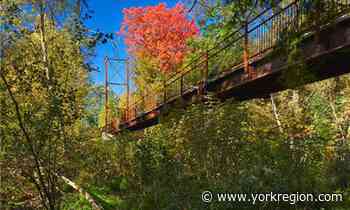 Winners of Urban Design Excellence Awards 'putting Markham on the map' - yorkregion.com