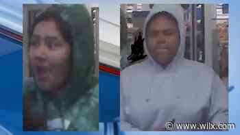 Meridian Township Police seeking help identifying retail fraud suspects - WILX-TV