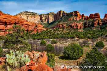 Kambi inks Arizona retail betting deal with Desert Diamond Casinos | Sports betting - iGaming Business