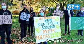 Fridays for Future Stralsund: Protest gegen die Abholzung eines Wäldchens - Ostsee Zeitung
