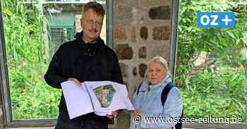 Große Umbaupläne im Zoo Stralsund: Was in Zukunft alles anders wird - Ostsee Zeitung
