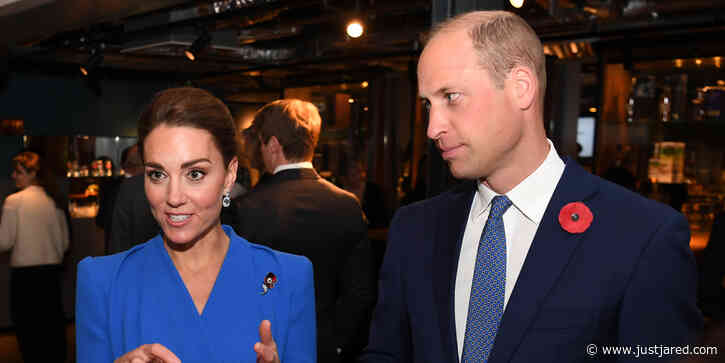 Kate Middleton & Prince William Join Other Dignitaries at Sustainable Markets Initiative Reception in Glasgow