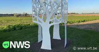 Poperinge zet gedenkboom op alle begraafplaatsen: "een plek met grote symbolische waarde voor ouders van doodgeboren kinderen" - VRT NWS