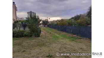 Erba alta e bisogni La protesta in largo delle Veroniche - il Resto del Carlino