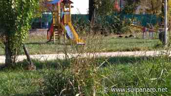 Nonantola, erba alta e incuria al parco di via Marco Polo - SulPanaro