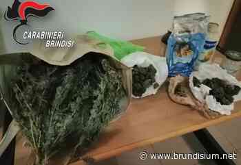 Nasconde mezzo Kg di erba nella camera da letto: arrestato 40enne - Brindisi – Brundisium.net