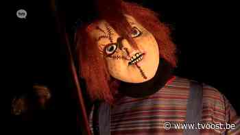 Knikkende knieën, gegil en gekrijs op halloweentocht in Lebbeke - TV Oost