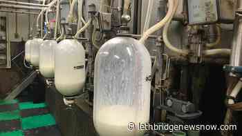 Milk price increase will impact all dairy products - Lethbridge News Now