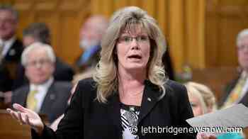 Losing candidate for Manitoba Tory leadership wants swearing-in delayed - Lethbridge News Now