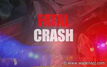 Park Rapids woman dies in car crash south of Bemidji - Wadena Pioneer Journal